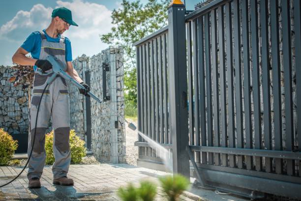 Animal Enclosure Cleaning in Lincoln Park, NY