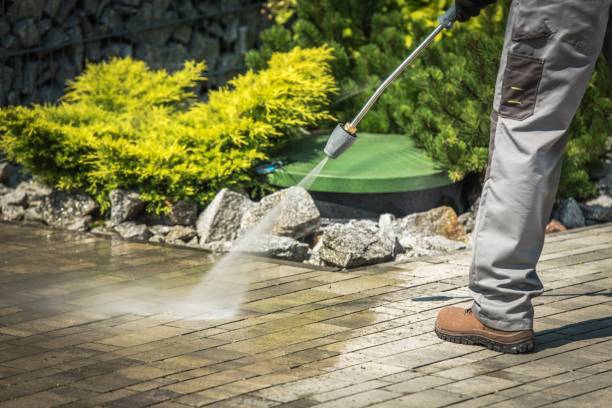 Best Solar Panel Cleaning  in Lincoln Park, NY