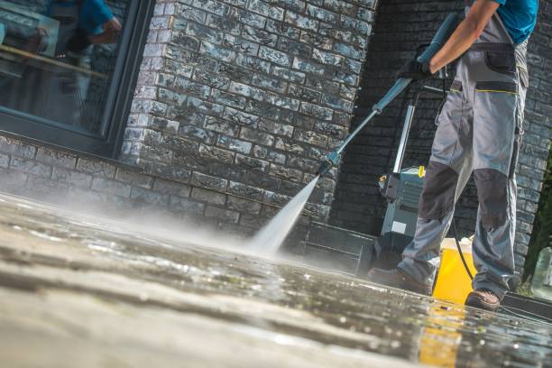 Boat and Dock Cleaning in Lincoln Park, NY