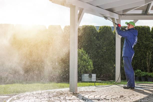 Best Patio and Deck Pressure Washing  in Lincoln Park, NY
