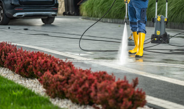 Professional Pressure Washing Services in Lincoln Park, NY